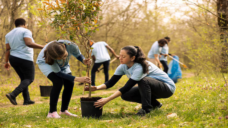 Volunteer Group Growing mother daughter preparing plant